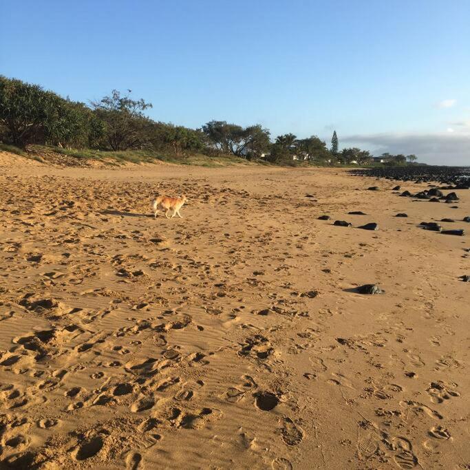 Puppies&Pancakes At Innes Park Opp Park&Beach Dogs Welcome Inside Pemberton ภายนอก รูปภาพ